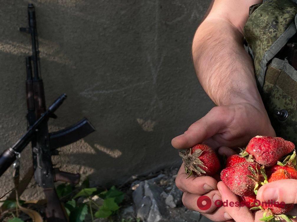 В Херсонской области оккупанты просятся к местным жителям собирать клубнику: свою работу оценивают в 50 гривен в час