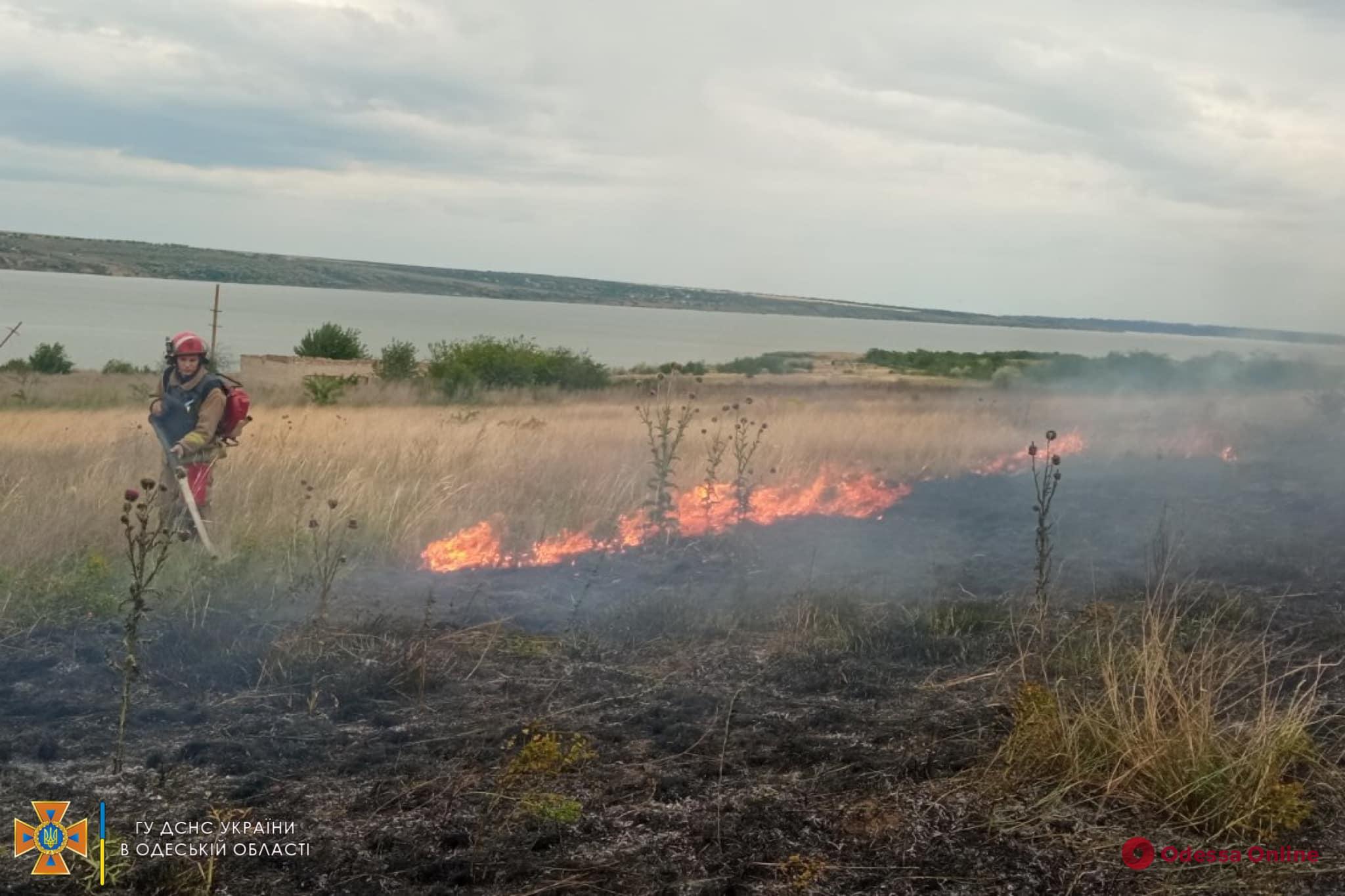 В Одесской области сгорел гектар сухой травы