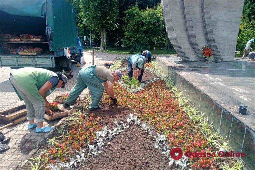 В Одессе высадят более 160 тысяч летних цветов