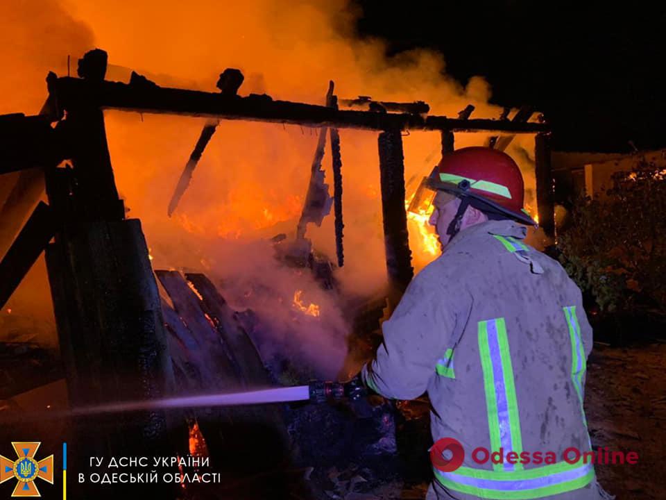 В селе Одесской области пожар уничтожил почти пять тонн сена