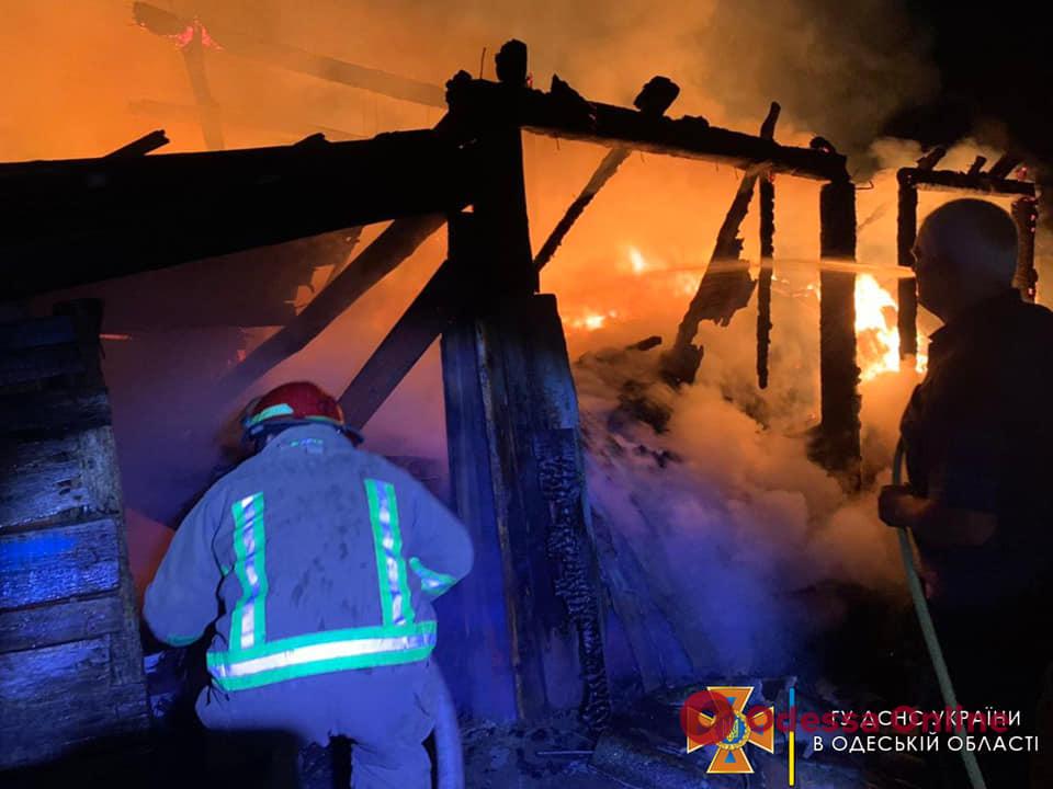 В селе Одесской области пожар уничтожил почти пять тонн сена