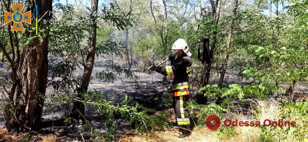 В Одесской области выгорело 1500 квадратных метров сухой травы