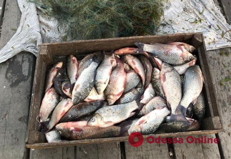 На озере Ялпуг поймали браконьера с уловом на 98 тысяч гривен