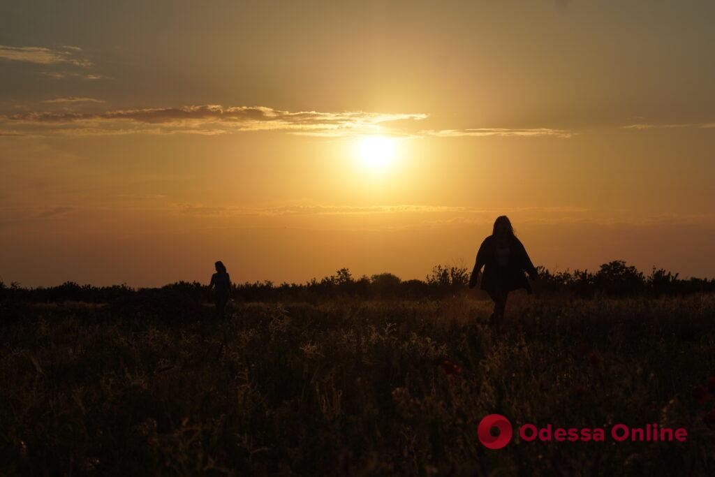 Полевые цветы, огненное солнце и силуэты людей: июньский закат под Одессой (фотозарисовка)