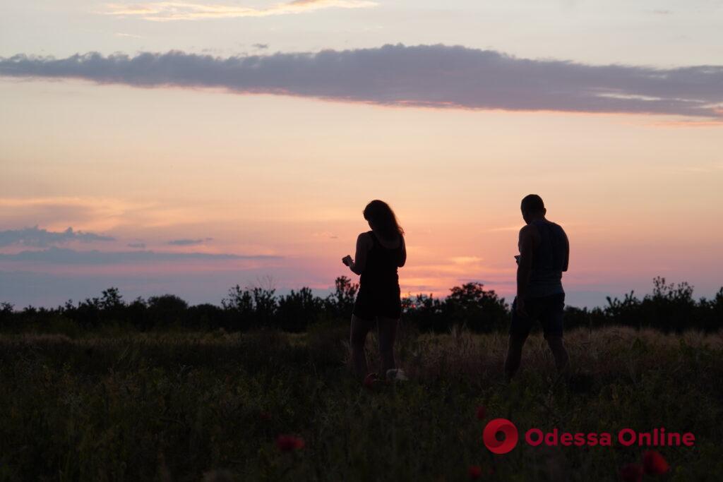 Полевые цветы, огненное солнце и силуэты людей: июньский закат под Одессой (фотозарисовка)