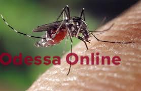«Боевые комары»: в минобороны рф придумали очередных «переносчиков вирусов из украинских биолабораторий»