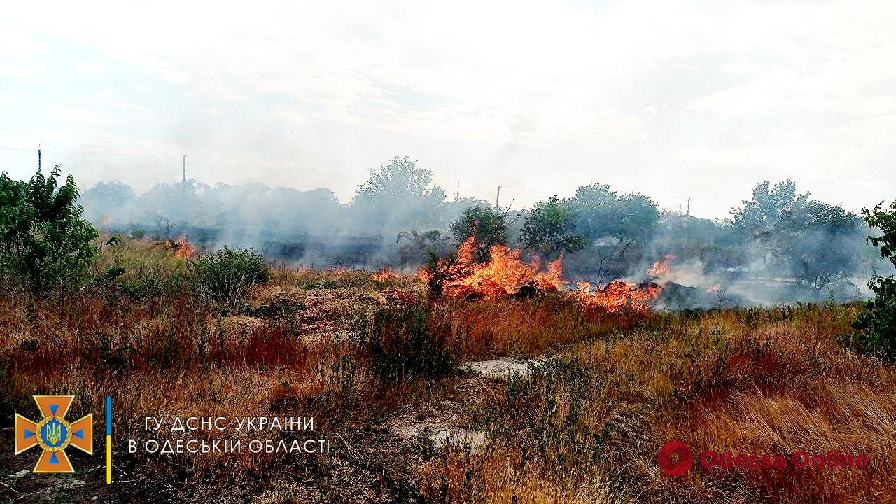 В Одесской области горела сухая трава