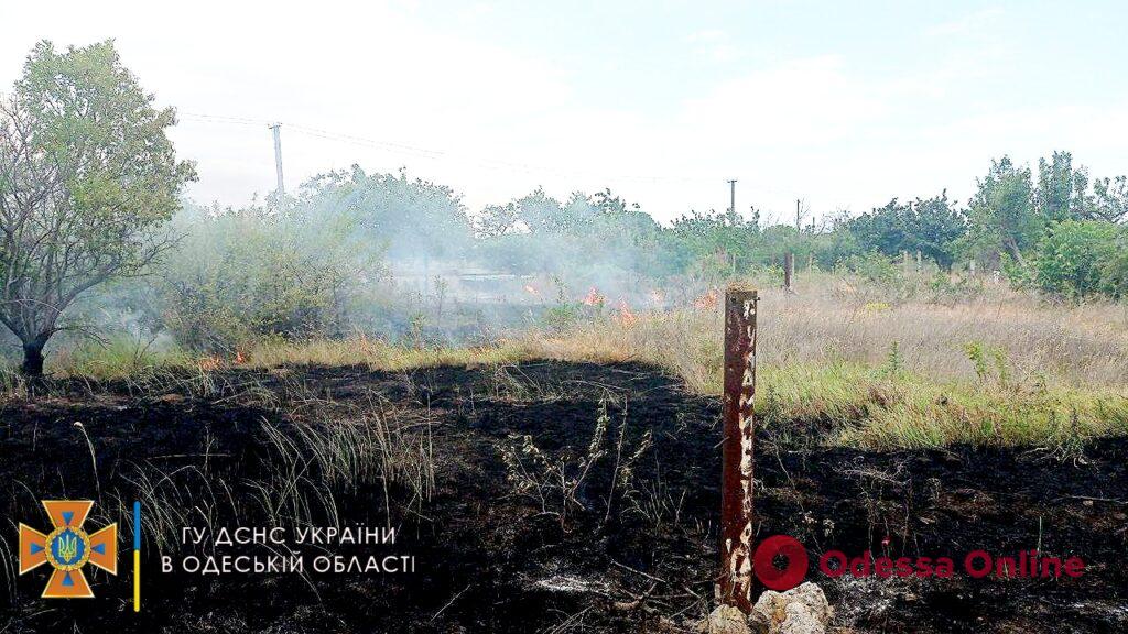 В Одесской области горела сухая трава