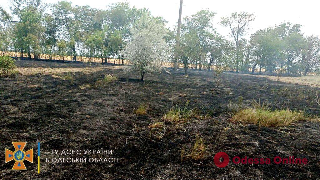 В Одесской области горела сухая трава