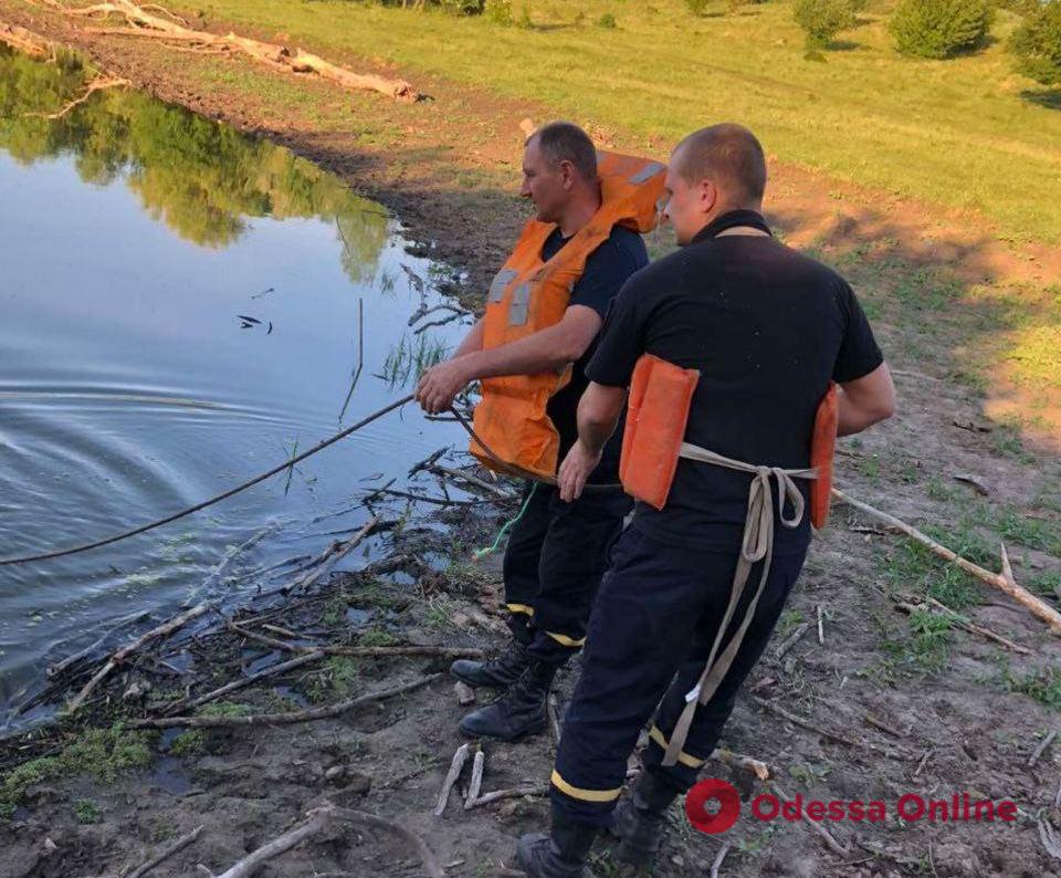 Нырнул и пропал: в Одесской области в пруду утонул 31-летний мужчина