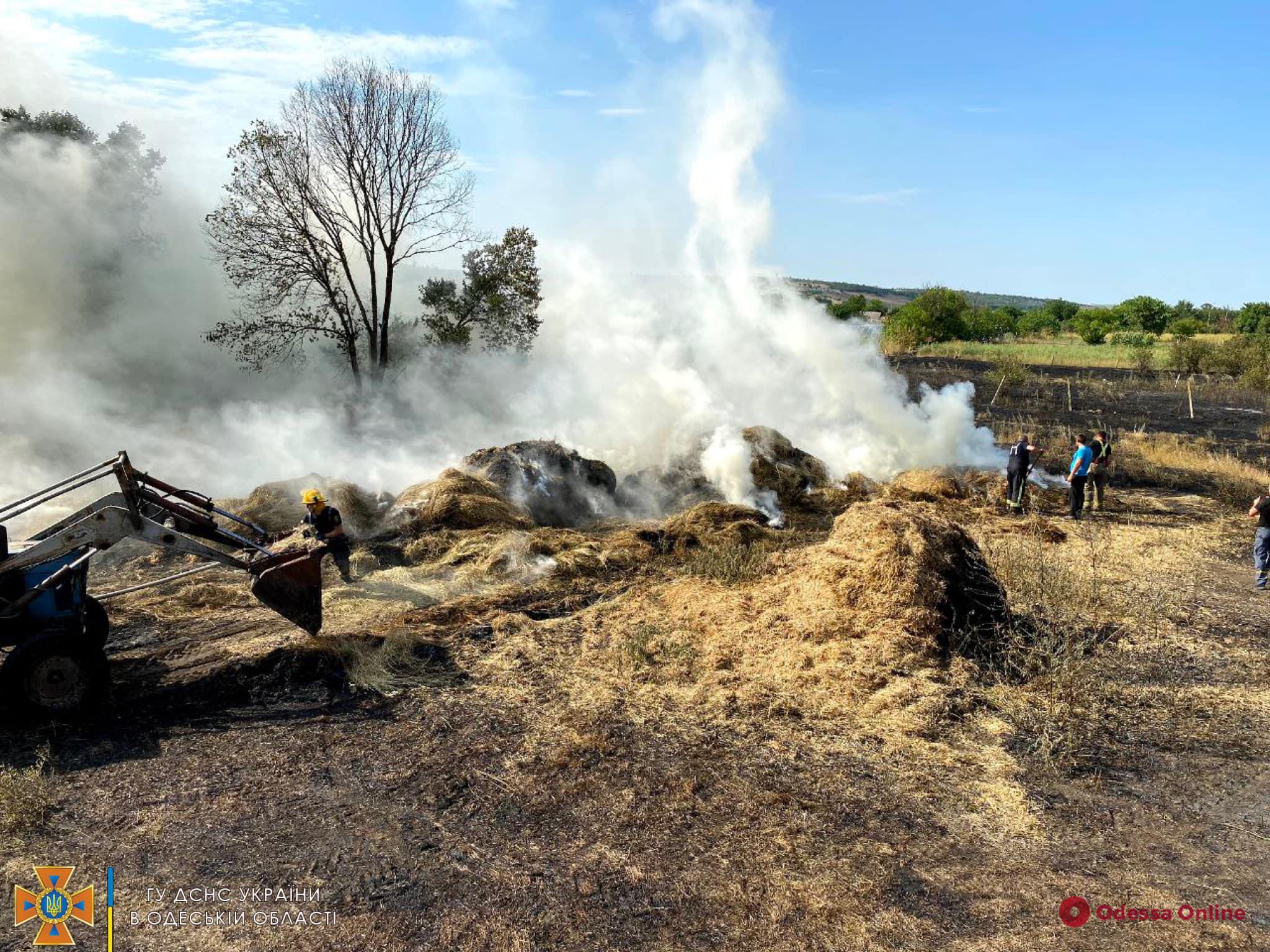 В Одесской области сгорело 7,5 тонн сена (видео)