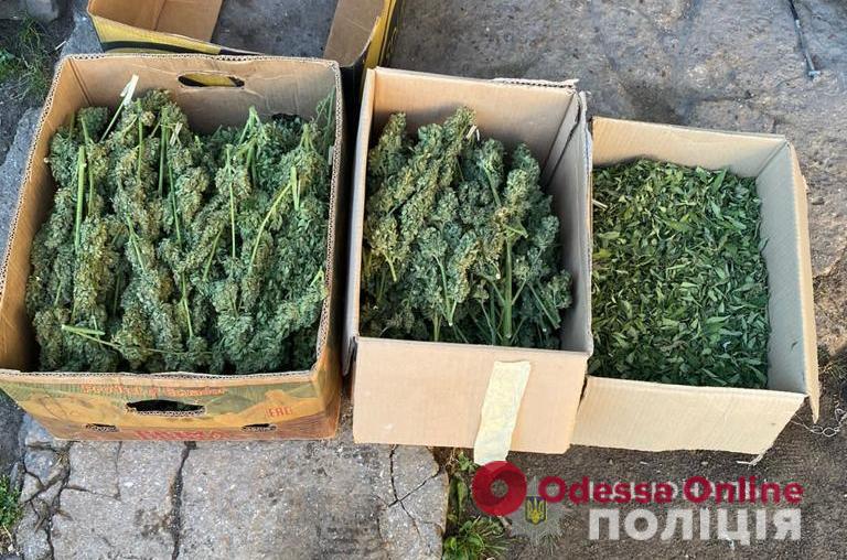 В Одесской области у четырех наркоаграриев изъяли почти 30 килограммов марихуаны