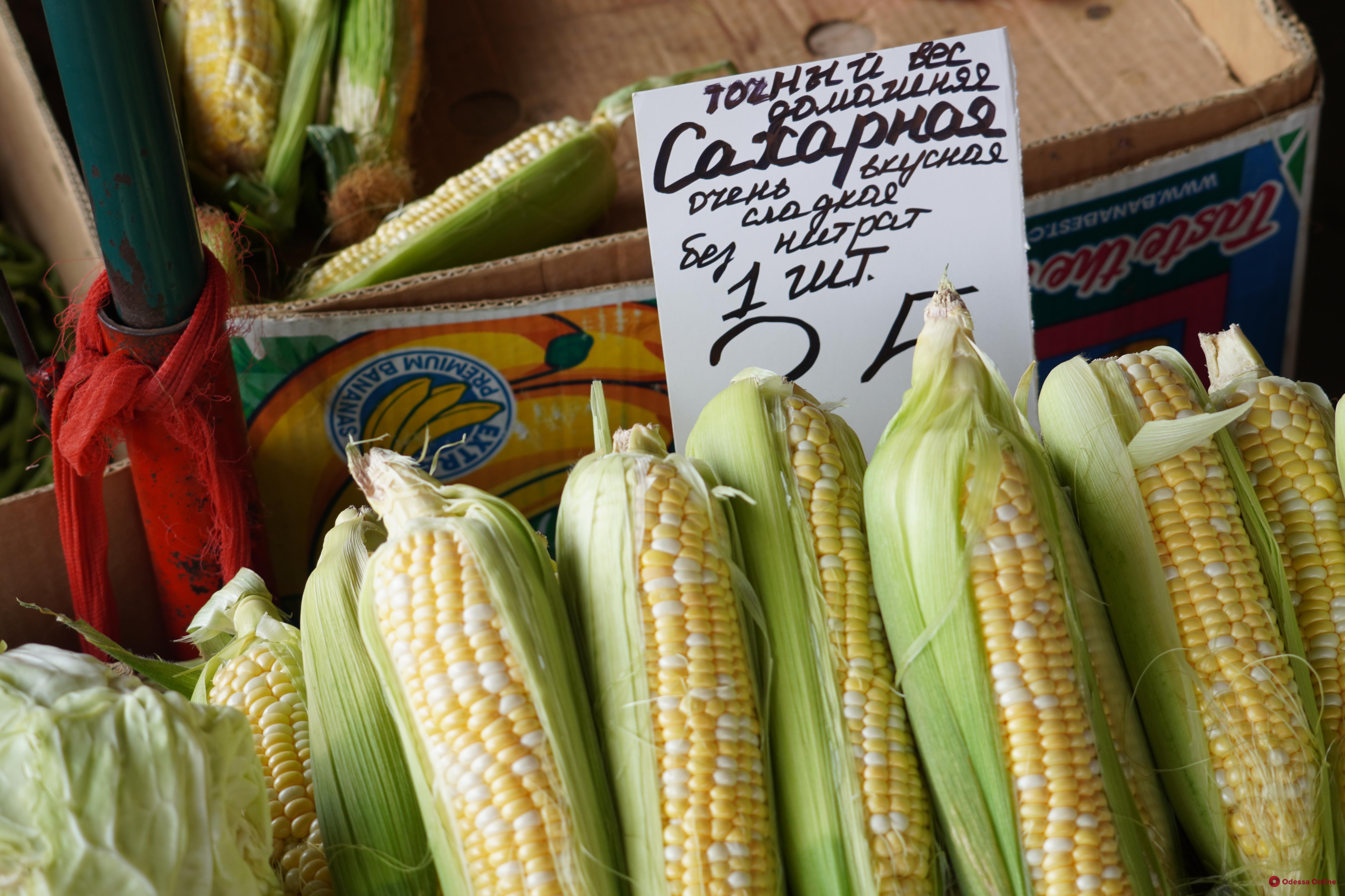 Диня, кукурудза та сир: суботні ціни на одеському «Привозі»