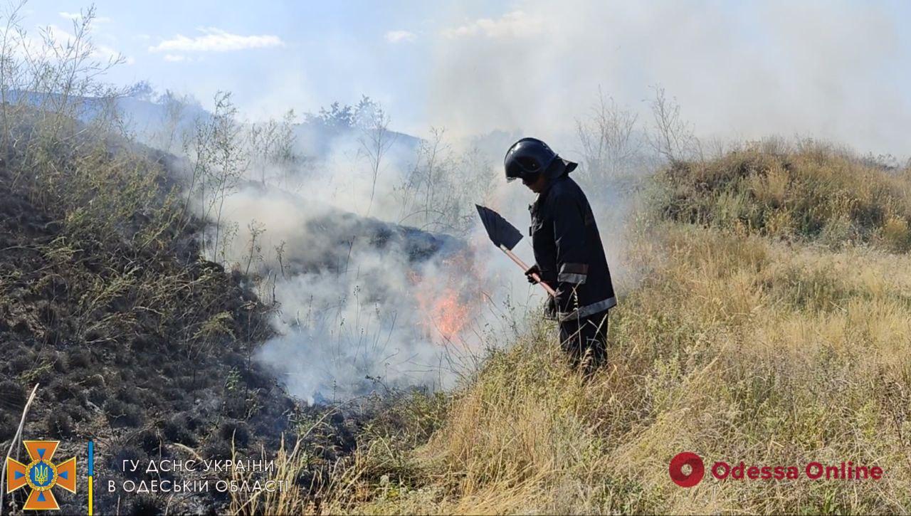 Спасатели тушили крупный пожар возле одесского приюта для животных