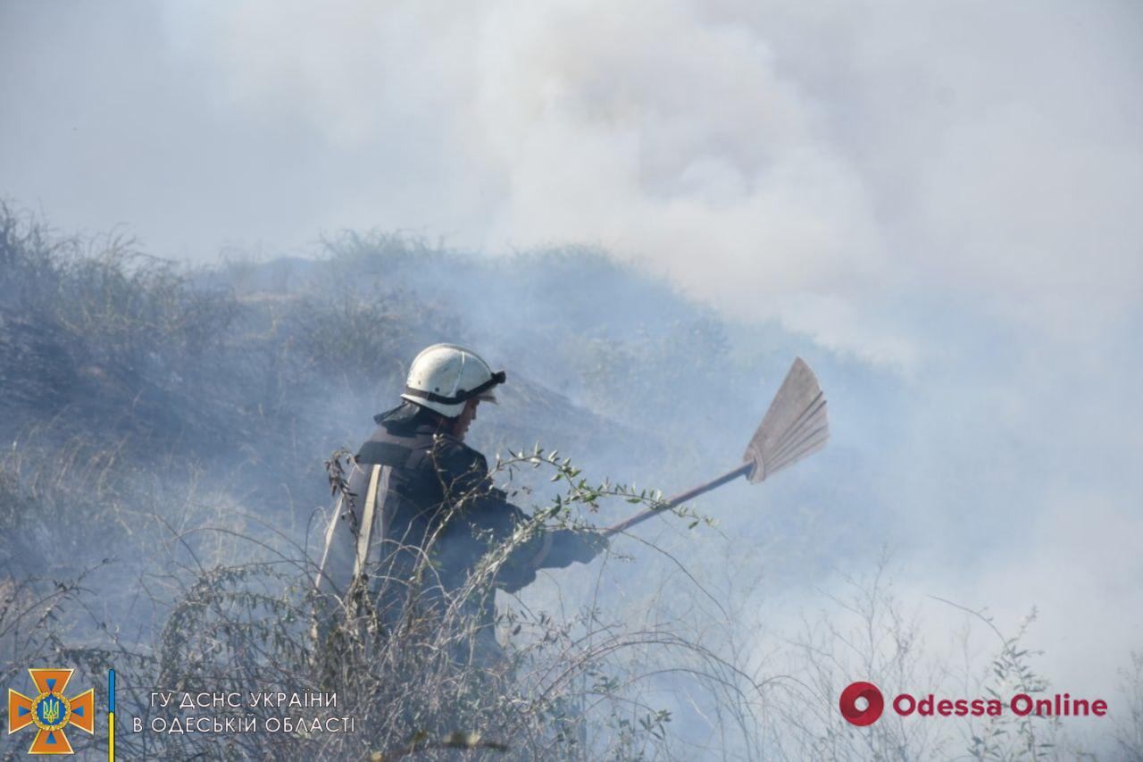 Рятувальники гасили велику пожежу біля одеського притулку для тварин