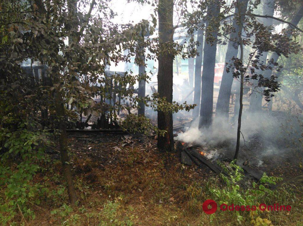 За день оккупанты обстреляли четыре громады Сумщины (фото)