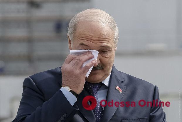 Білоруса відправили за ґрати за образу Лукашенка в соцмережах
