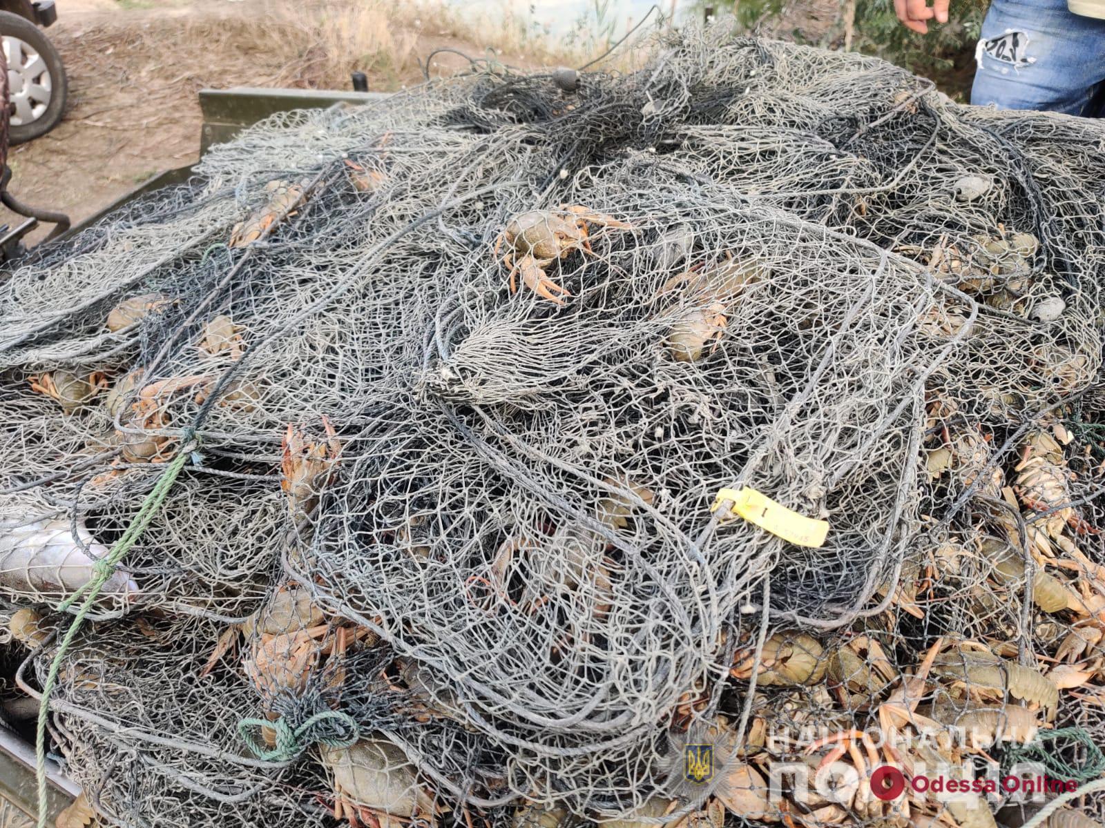 Незаконный улов на 8 миллионов: в Измаильском районе задержали браконьеров