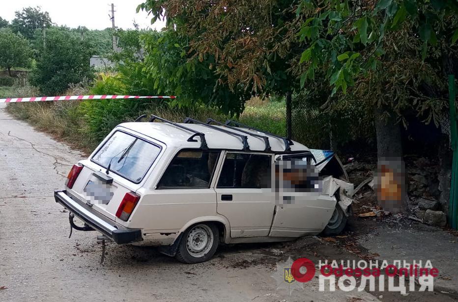 В Одесской области автомобиль влетел в дерево: один человек погиб