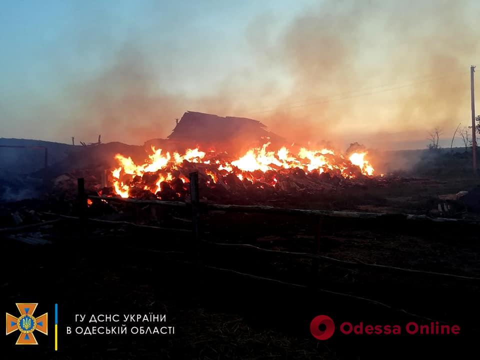 В Одесской области сотрудники ГСЧС спасли от огня около 30 тонн зерна