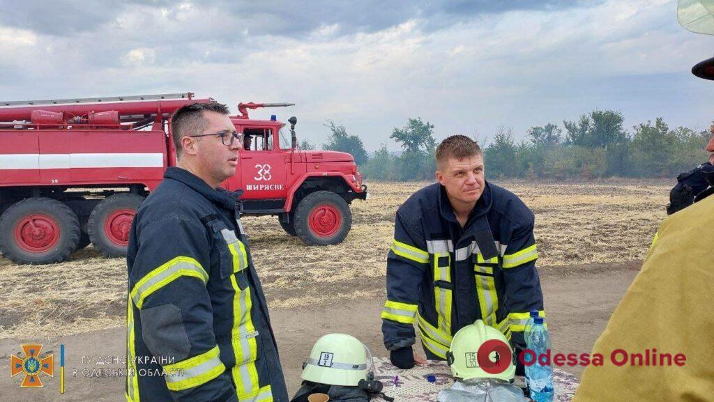 В Одесской области горел хвойный лес