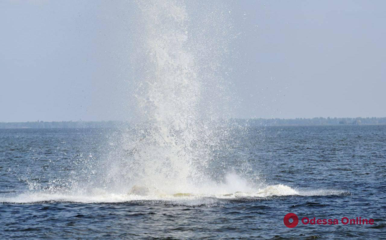 В Одесской области обезвредили еще одну морскую мину
