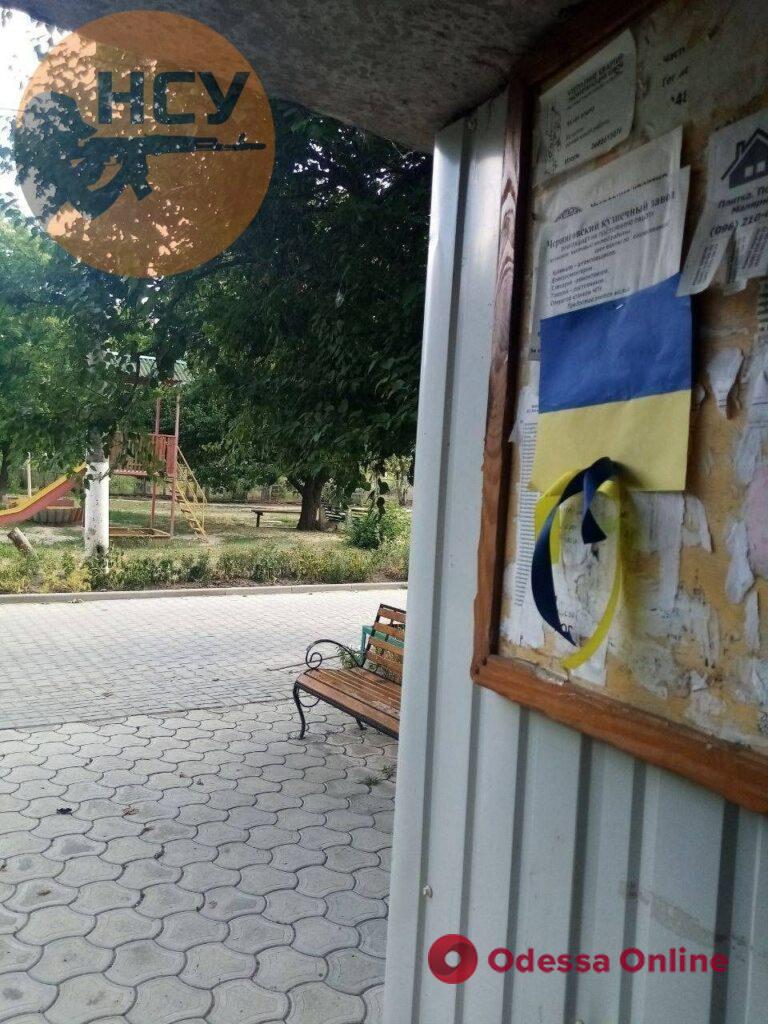 Украинские партизаны на временно оккупированных территориях поздравили Украину с Днем Государственного флага (фото)