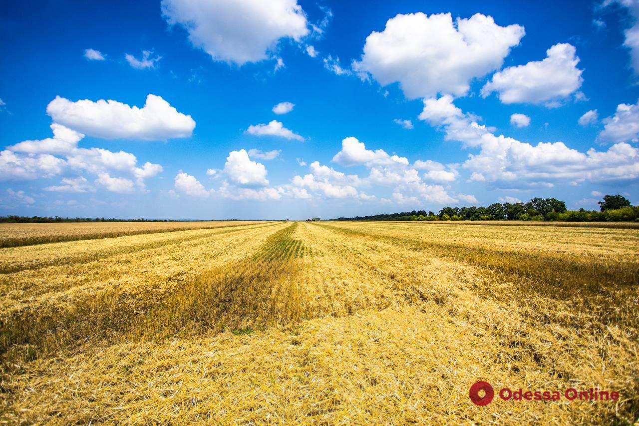 На Дніпропетровщині завершили збирати ранні культури