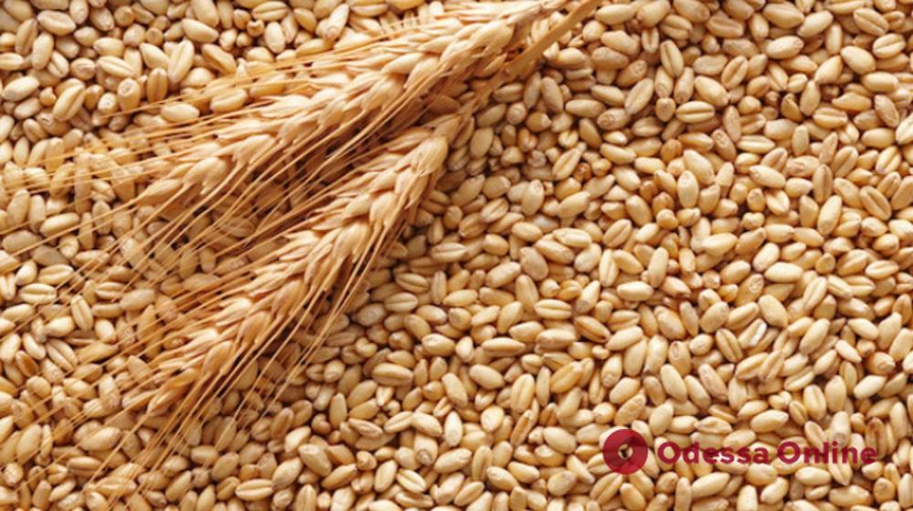 Швеція закупить 40 тисяч тонн українського зерна для країн, яким загрожує голод
