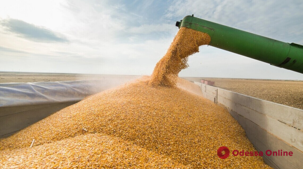 Украина бесплатно отдаст 50 тысяч тонн зерна голодающим странам Африки