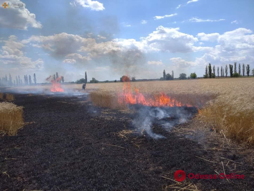 У Миколаївській області через російські обстріли вигоріло поле з пшеницею