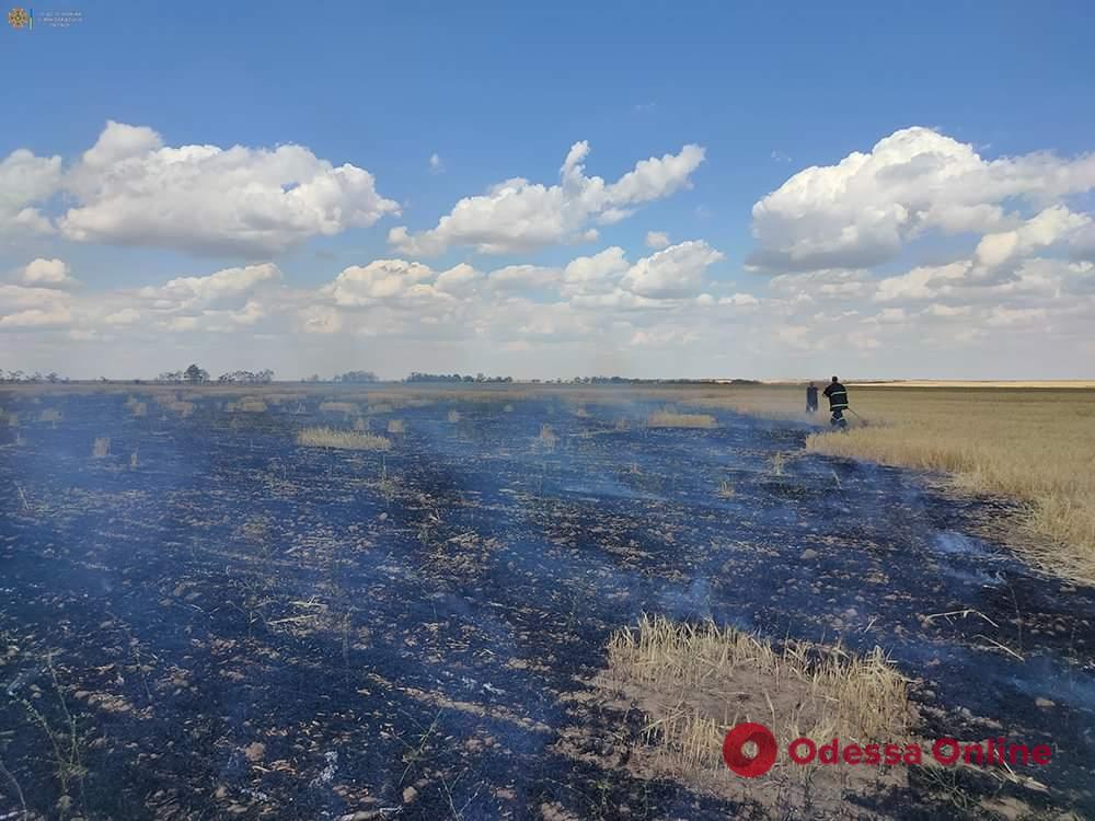 У Миколаївській області через російські обстріли вигоріло поле з пшеницею