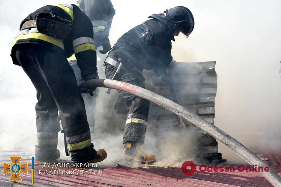 Под Одессой горел частный дом: пострадала 19-летняя девушка (фото, видео)