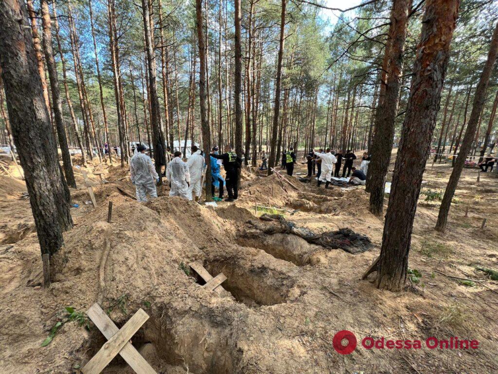 Эксгумацию в лесу под Изюмом завершили: нашли 447 тел