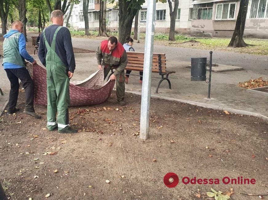 В Одессе озеленители высаживают осенние цветы (фото)