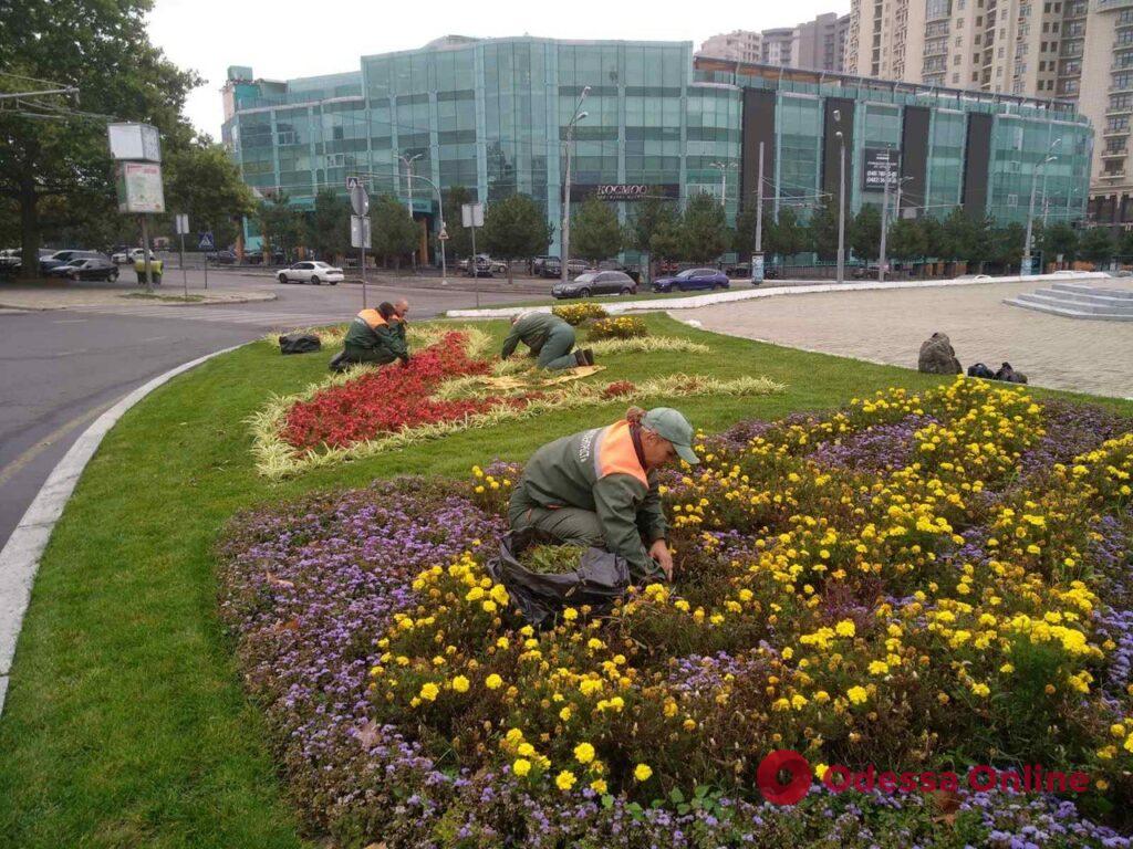 В Одессе озеленители высаживают осенние цветы (фото)