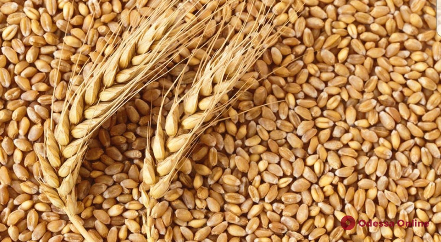 Украина передаст Сомали почти 30 тысяч тонн пшеницы