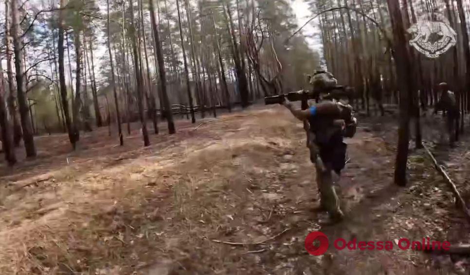 Украинские спецназовцы уничтожили экипажи трех российских «Тигров» (видео)