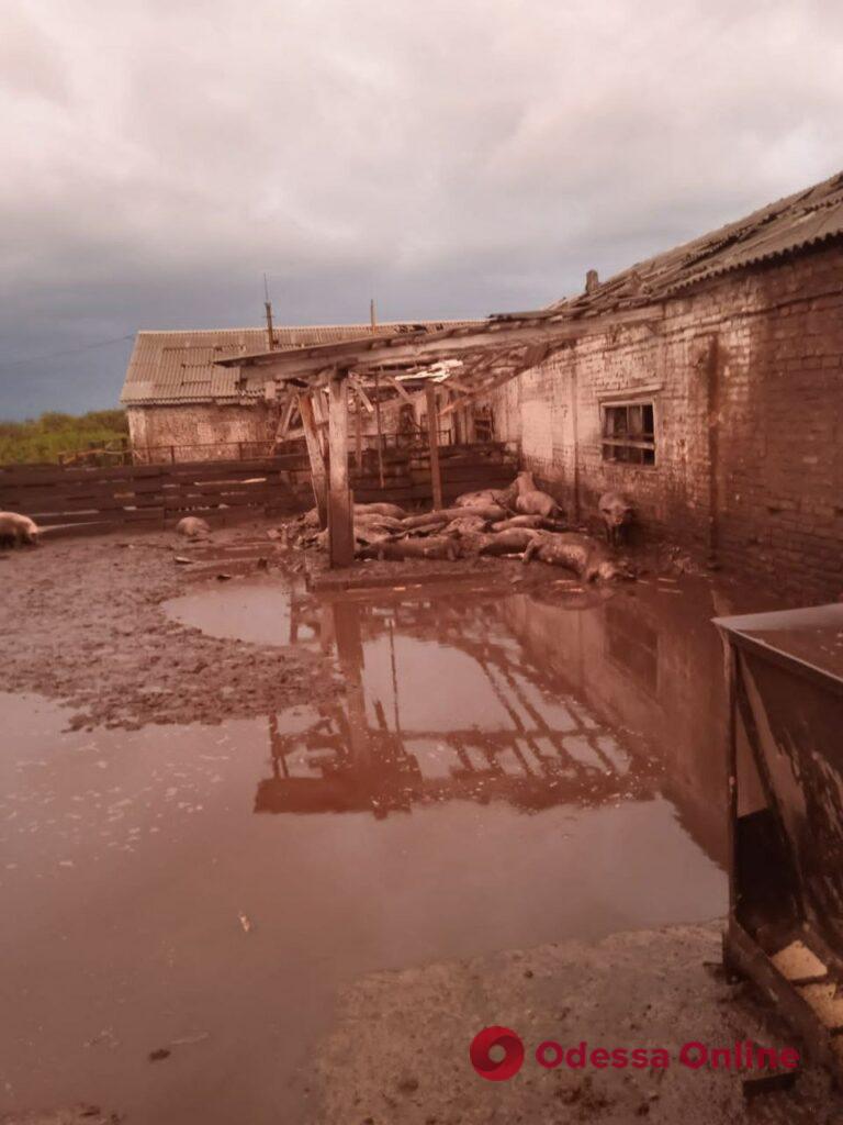 Окупанти знову обстріляли Сумщину: загинув місцевий мешканець і близько 100 тварин (фото)