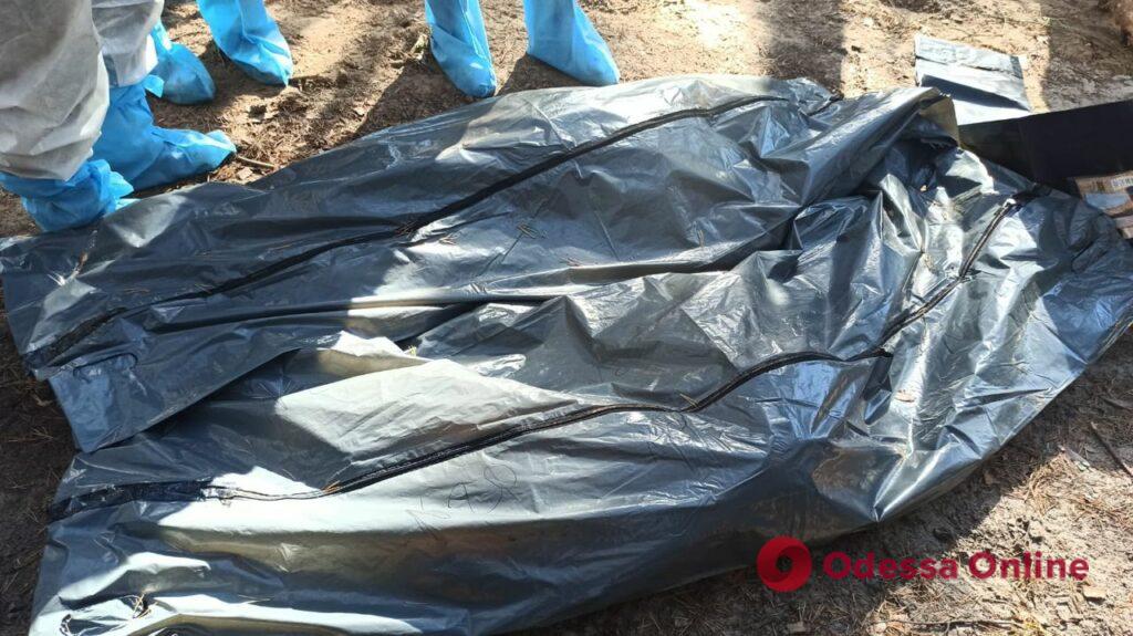 Масове поховання в Ізюмі: вже ексгумовано 263 тіла, серед них двоє дітей