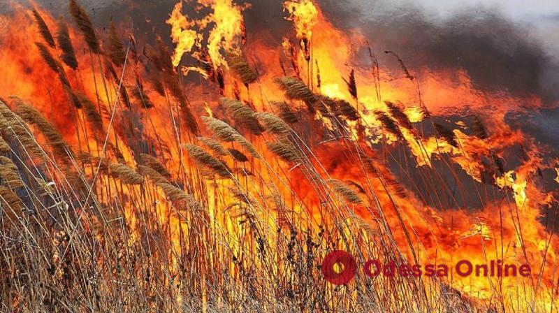ГСЧС: запах гари, который слышен в Одессе, может быть связан с пожаром в Дунайском биосферном заповеднике