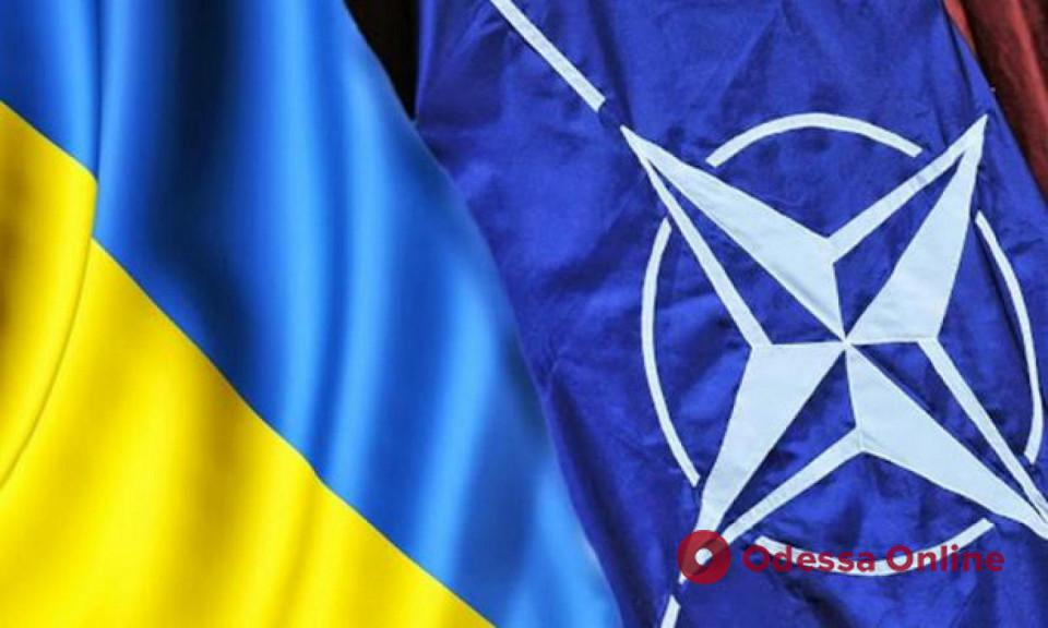 Девять европейских стран поддержали вступление Украины в НАТО и призвали существенно увеличить военную помощь Украине