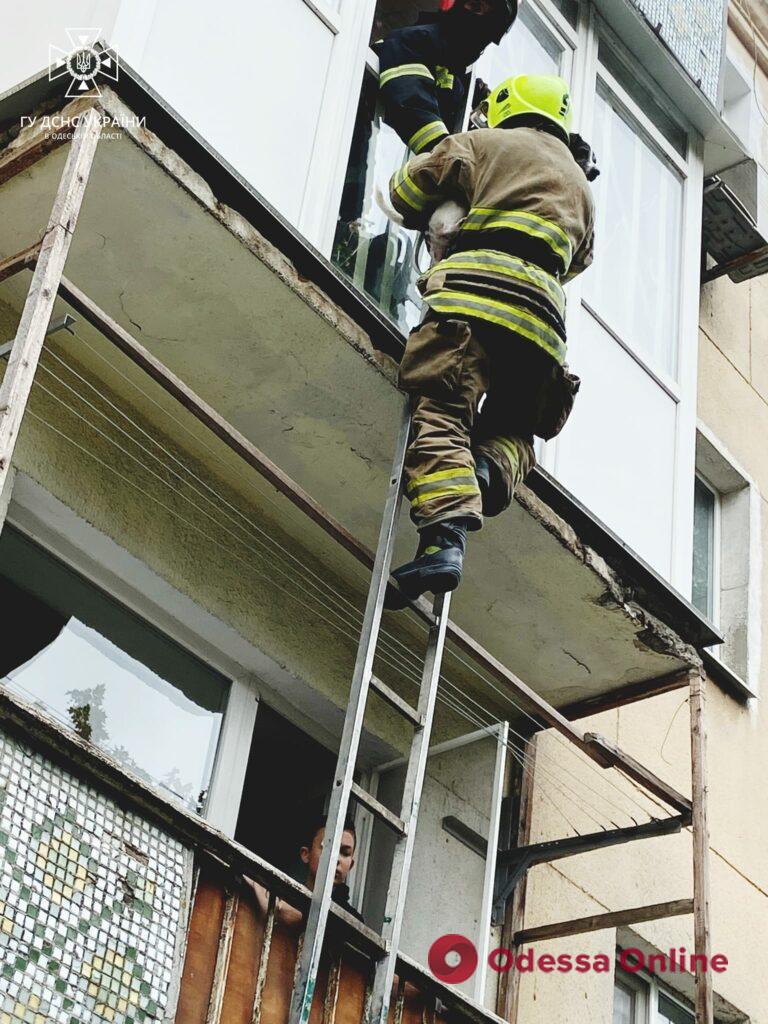 Одеські пожежні врятували двох собак, які сиділи у задимленій кухні