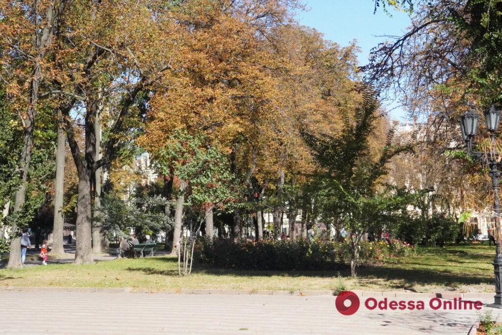Золотая осень в Одессе во время войны (фоторепортаж)