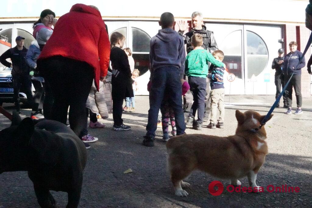 Дали потушить огонь и поиграть с собаками: одесские спасатели провели мероприятие для детей