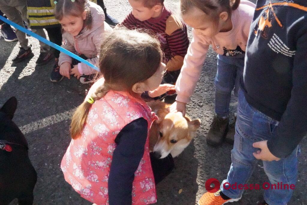 Дали потушить огонь и поиграть с собаками: одесские спасатели провели мероприятие для детей