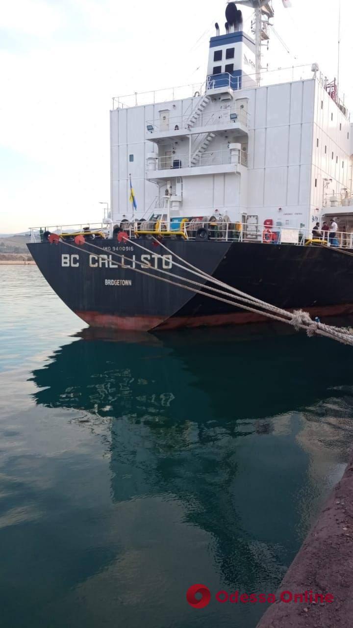 «Зерновая инициатива»: в Алжир прибыло второе судно с украинским зерном