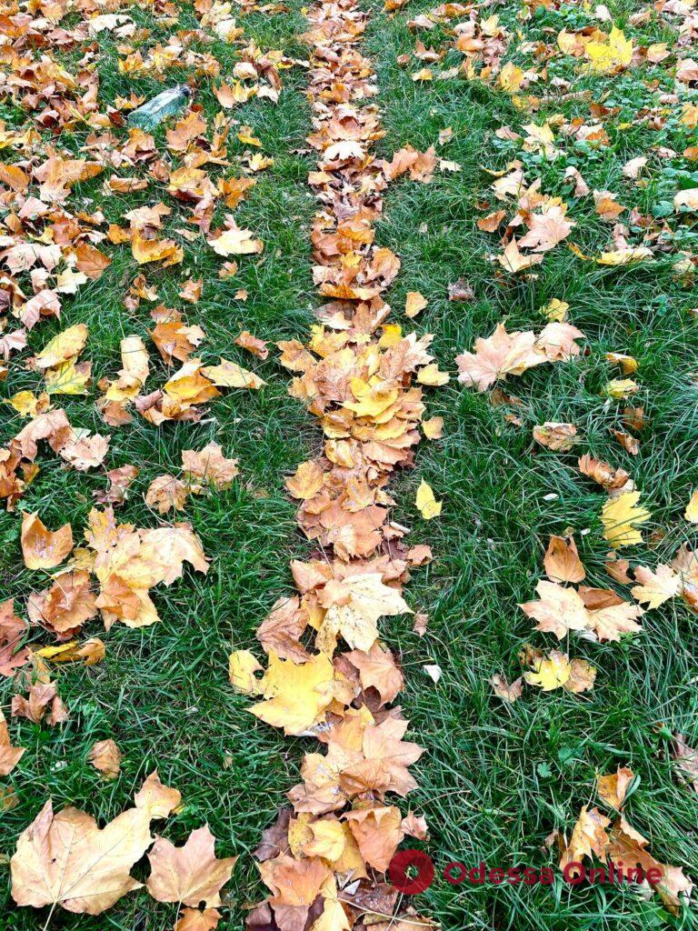 Золота осінь в Савицькому парку (фото)