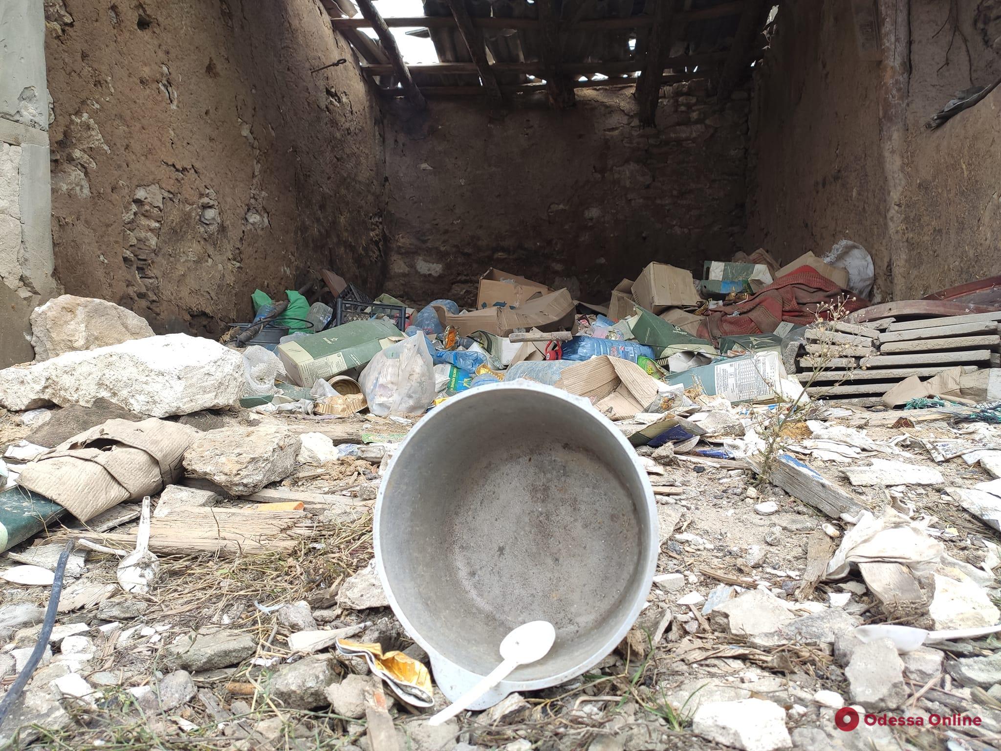Горы мусора и «наскальная живопись» от рашистов: хроники освобожденных территорий Херсонской области (фото)
