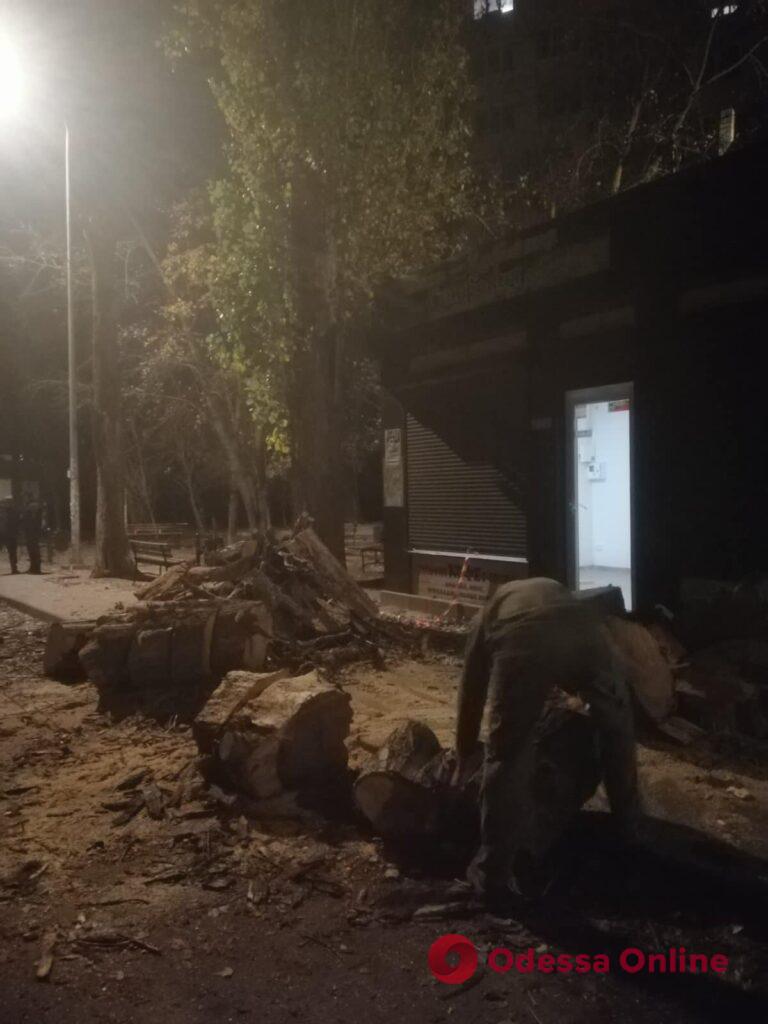 Во время непогоды в Одессе обрушилось несколько деревьев